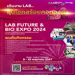 pagesthai.com