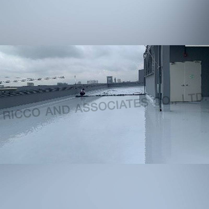 Polyurethane urea