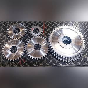 Spur Gear