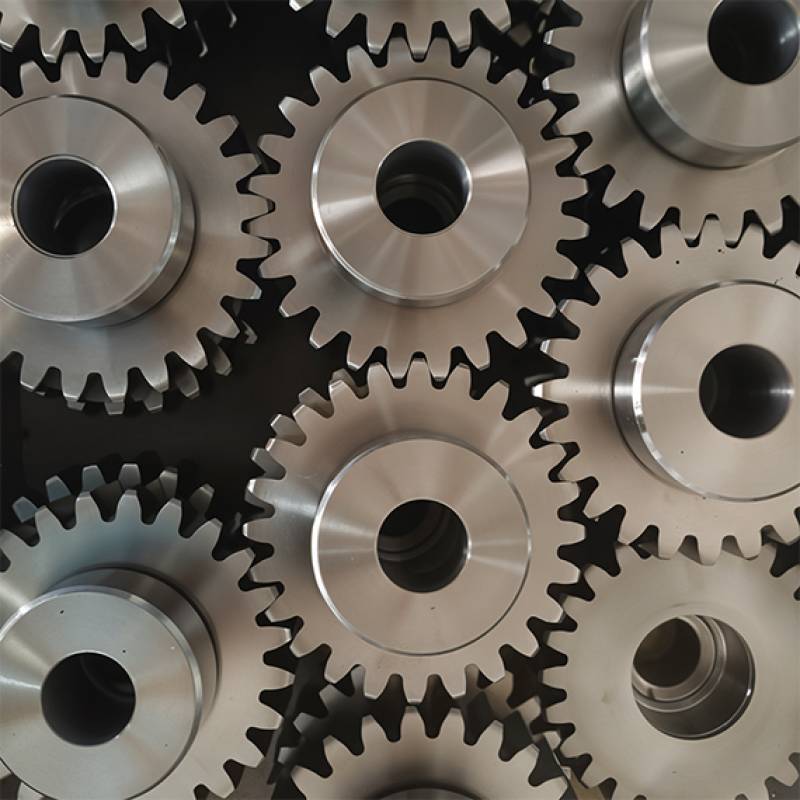 Spur Gear